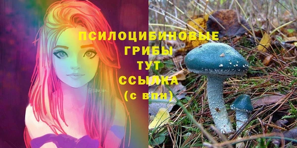 тгк Козельск