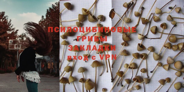 бошки Козловка