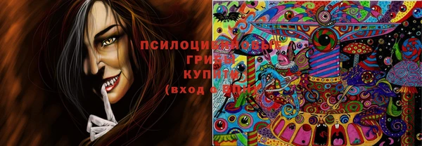 тгк Козельск