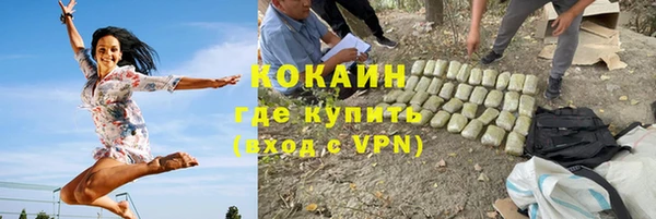 тгк Козельск