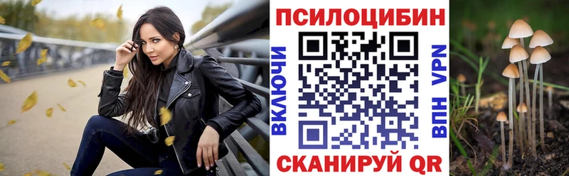 Купить  Горбатов  Псилоцибиновые грибы мухоморы 